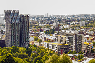 Blick auf die Skyline von Hamburg mit Bäumen im Vordergrund