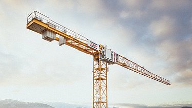 Kran foran en overskyet himmel. I billedets nederste kant dele af en by med skyskrabere foran et bjergpanorama