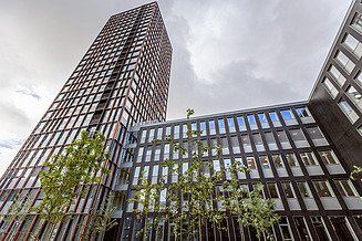 Vogelius Tower