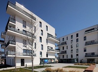 Block-shaped residential buildings with narrow windows and balconies, wild meadow in the foreground