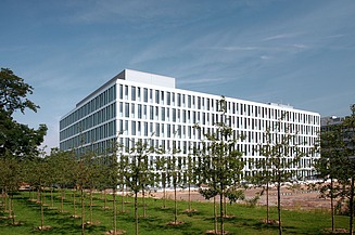 Hvidt kontorkompleks med mange smalle vinduer, græsplæne med flere rækker træer i forgrunden